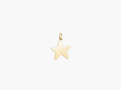 Charm étoile de mer